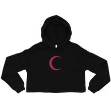 Load image into Gallery viewer, Heart Of Artistry Pink Pierced Resilient Vision Crop Hoodie
