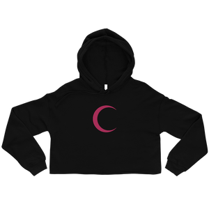 Heart Of Artistry Pink Pierced Resilient Vision Crop Hoodie