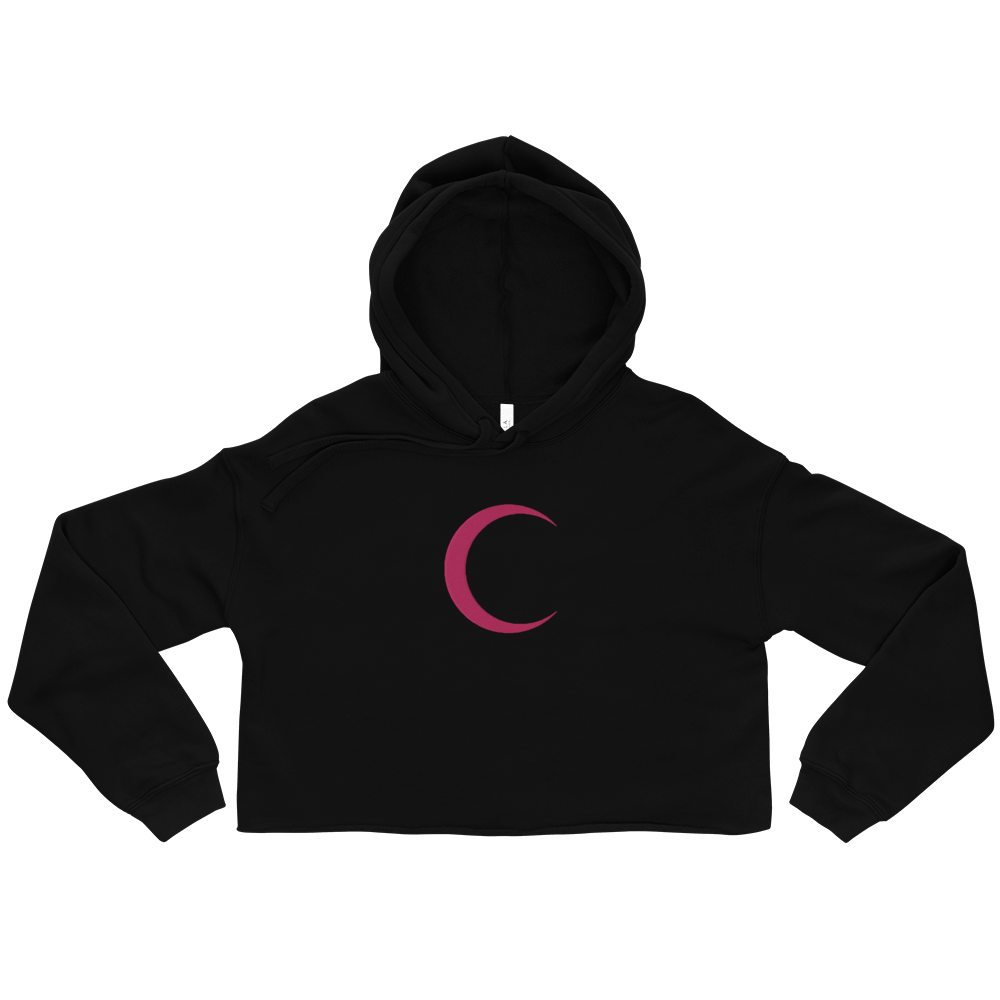 Heart Of Artistry Pink Pierced Resilient Vision Crop Hoodie