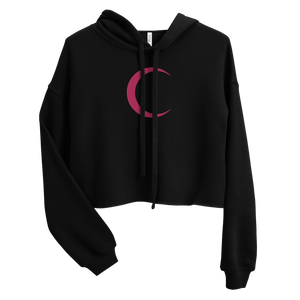 Heart Of Artistry Pink Pierced Resilient Vision Crop Hoodie